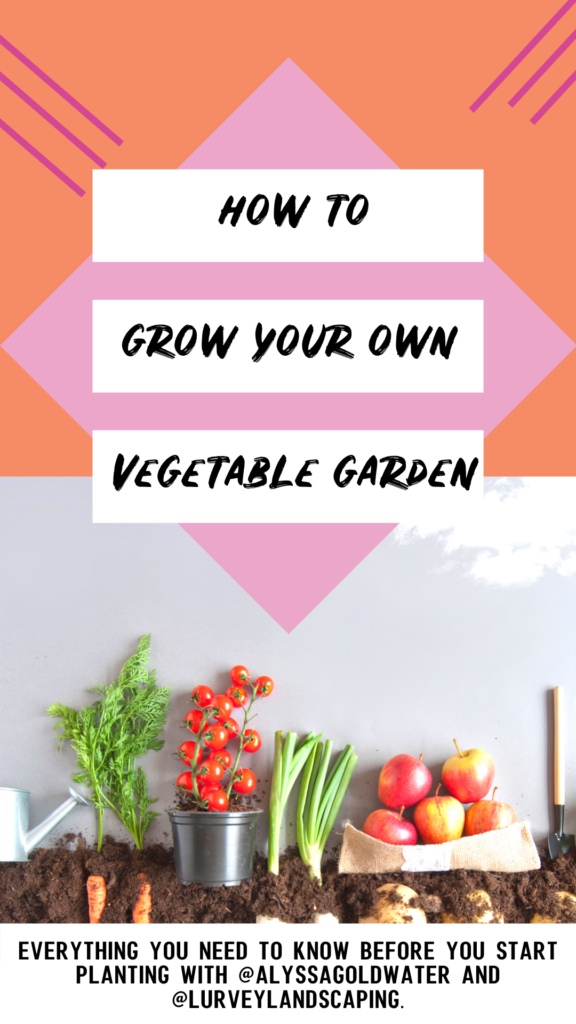 how to grow your own vegetable garden