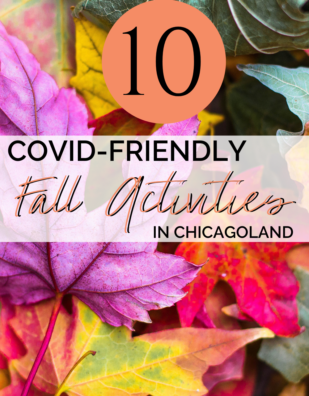 Top Fall COVID-Friendly Activities in and around Chicago